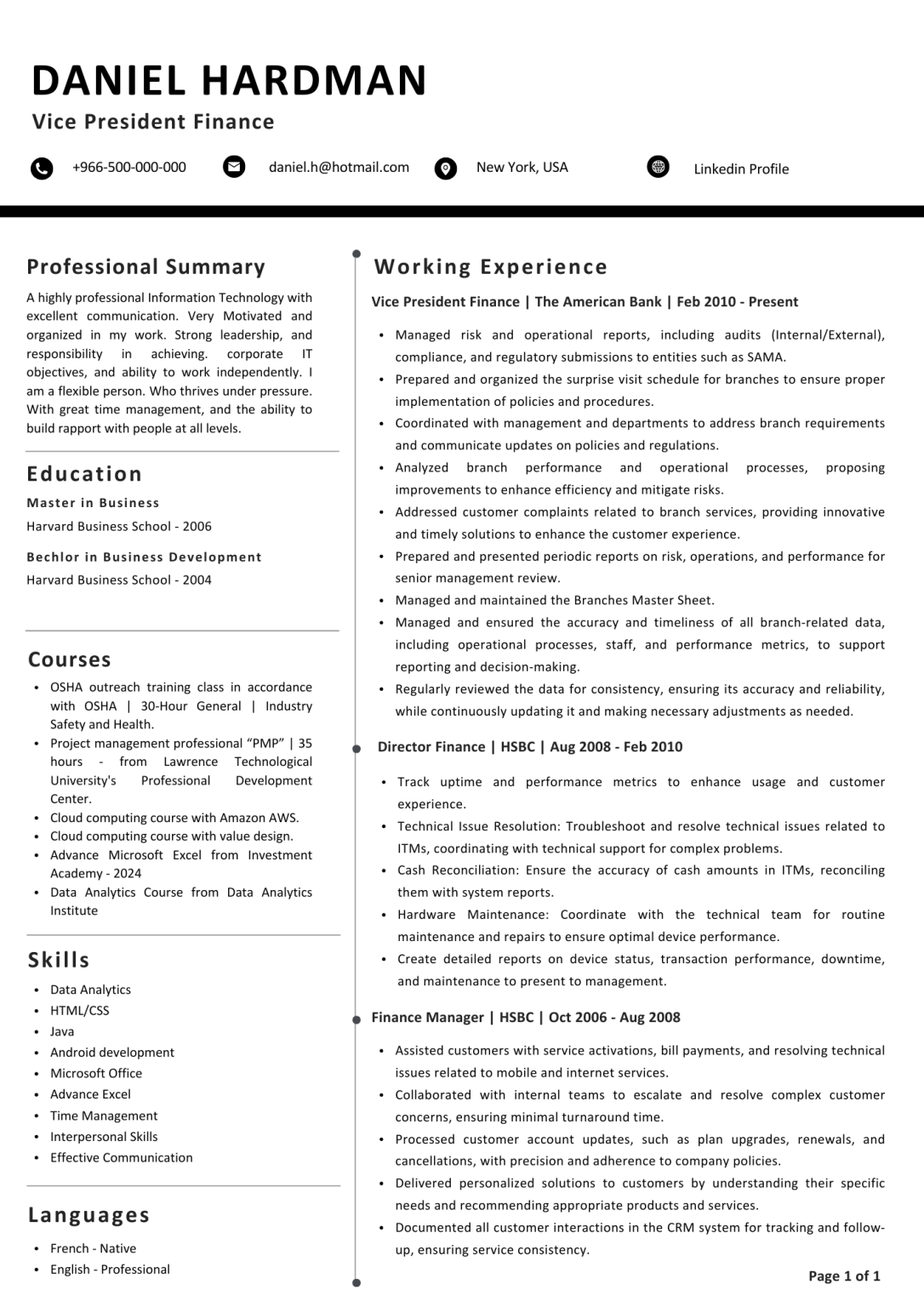 Executive Resume 1