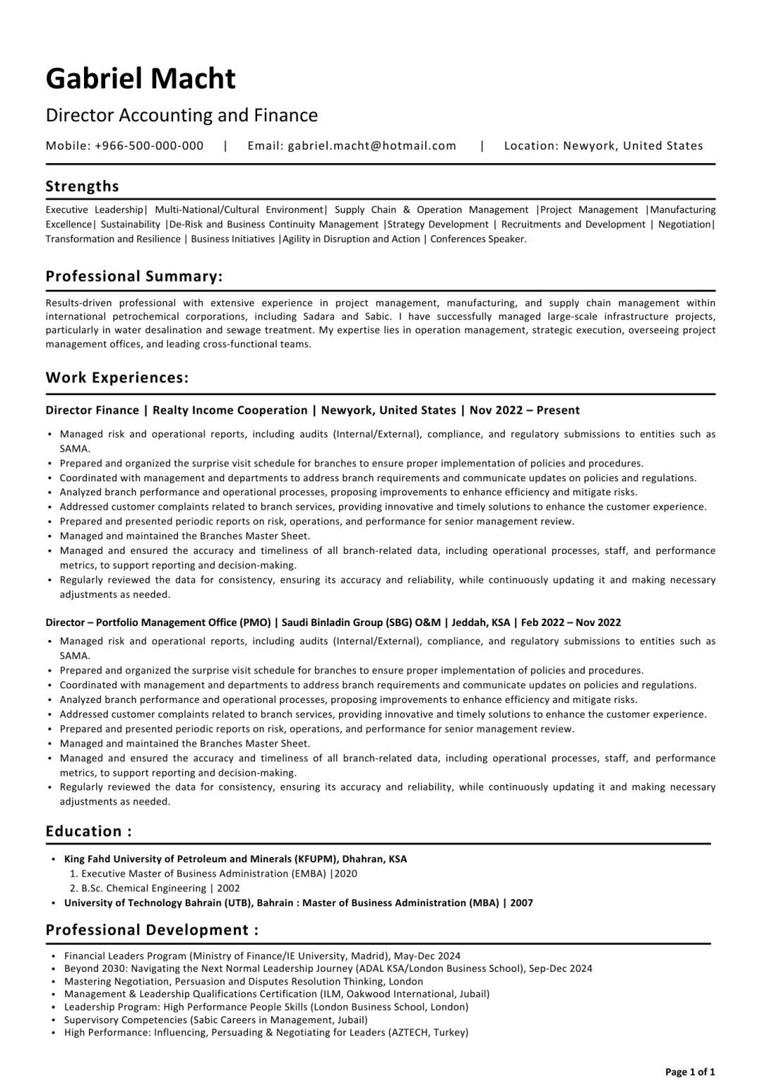 Executive Resume 2