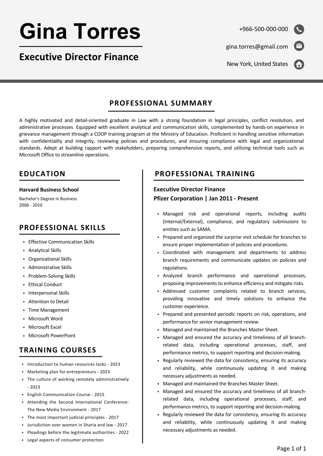 Executive Resume 3