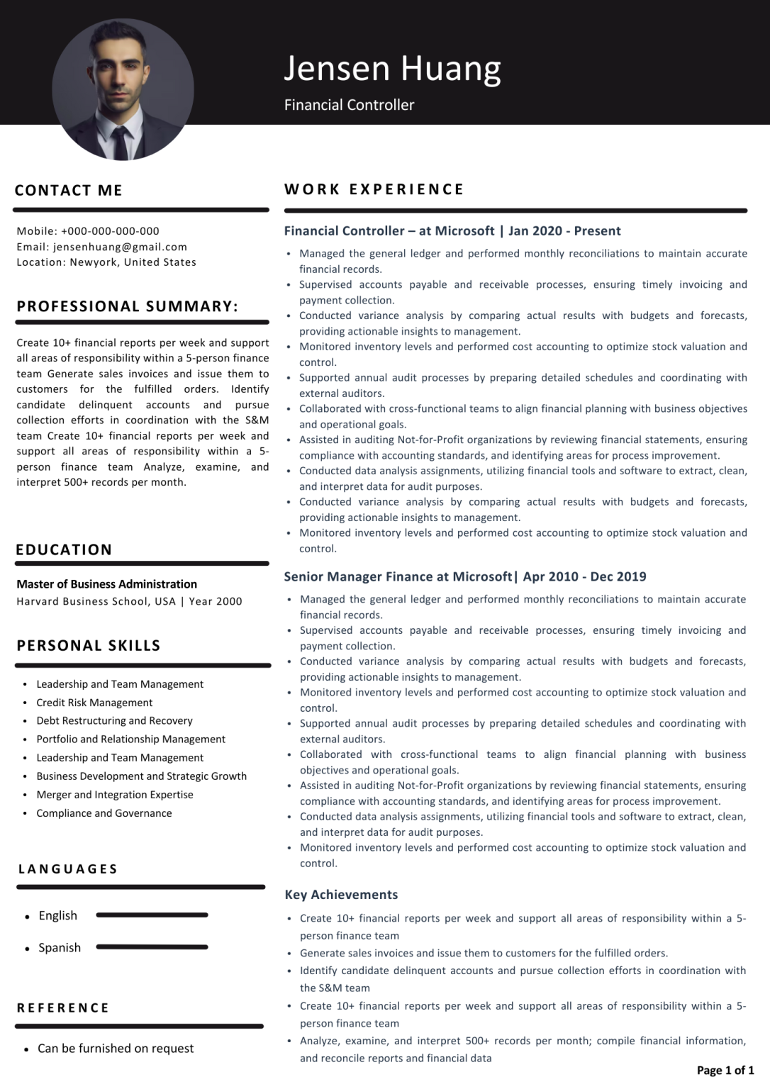 Executive Resume 7