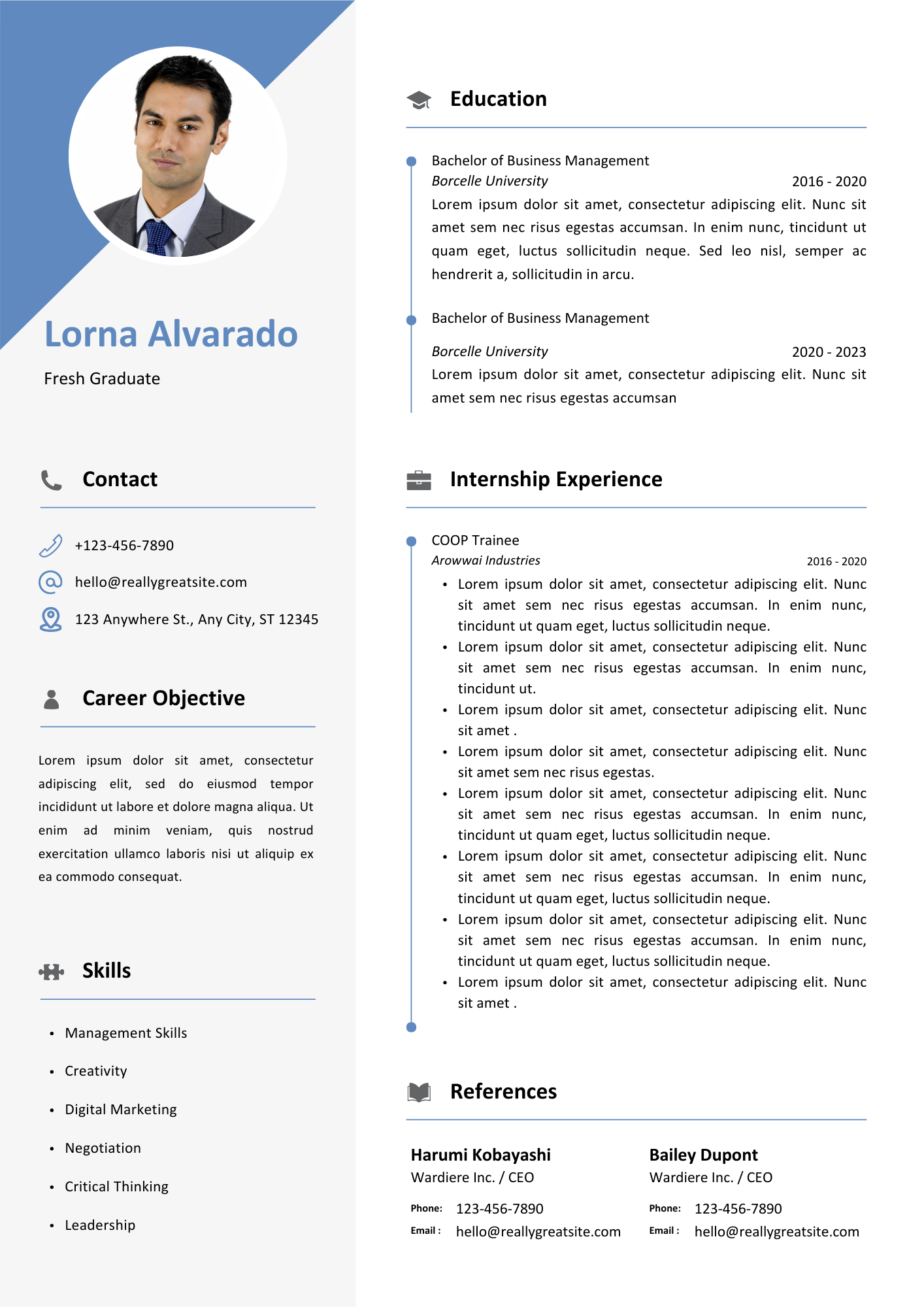 Resume 5